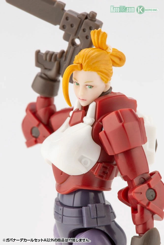 HEXA GEAR GOVERNOR DECAL SET TYPE-A - Image 2